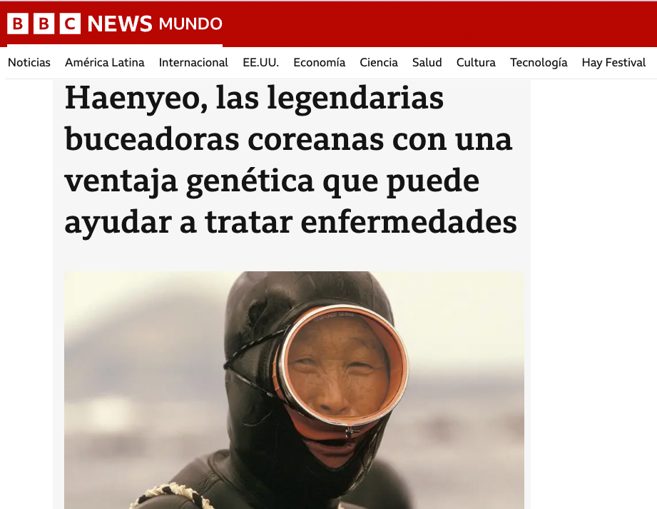 BBC screenshot