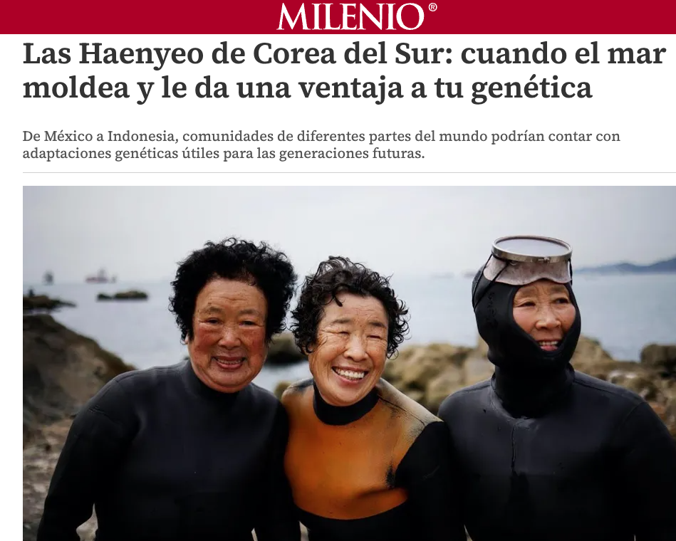 Milenio screenshot