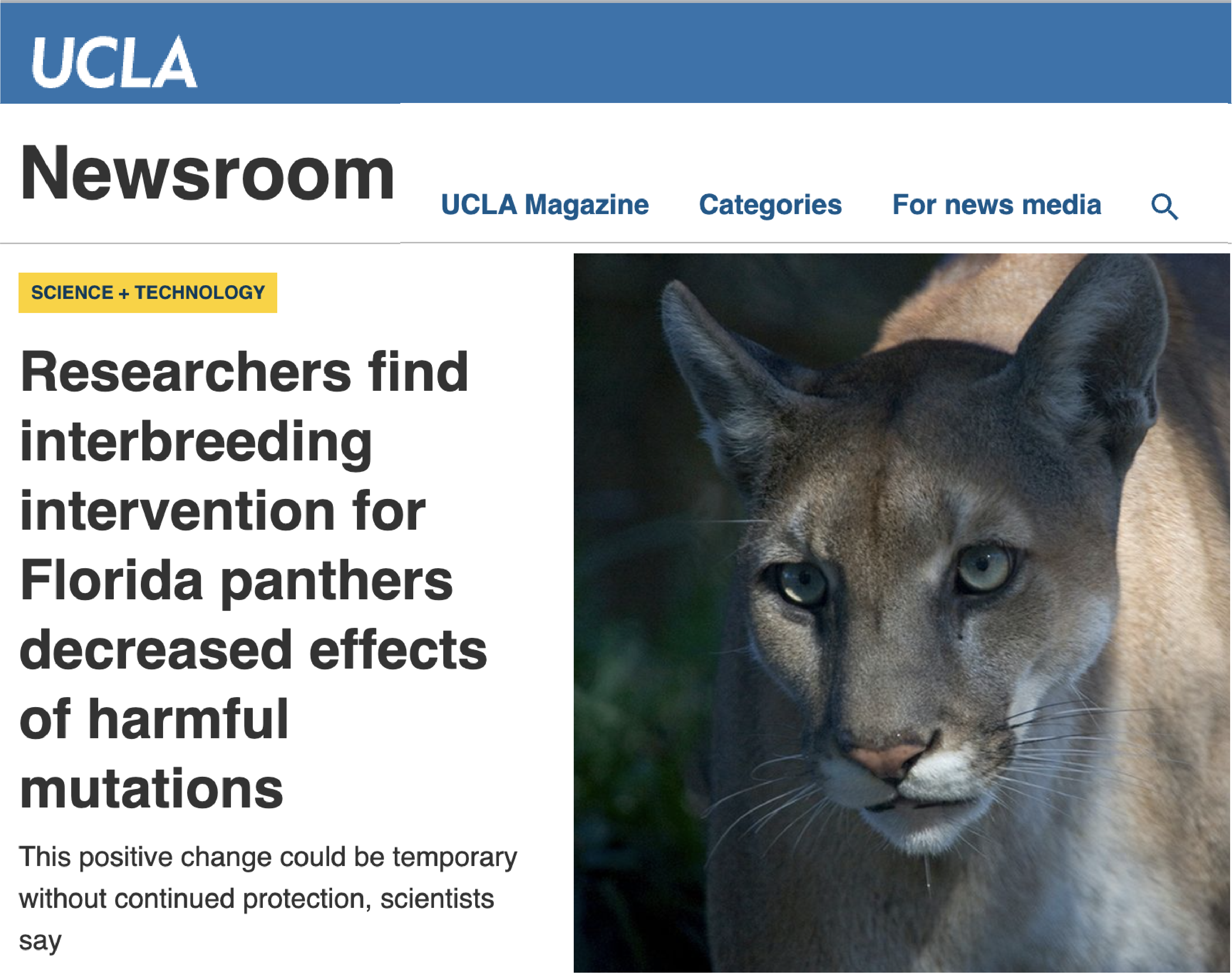 UCLA