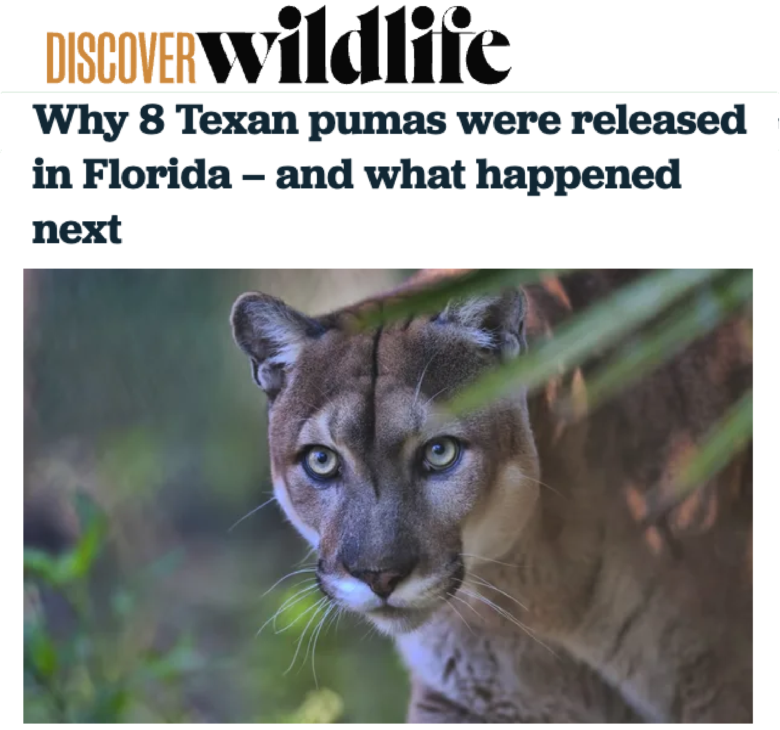 Wildlife